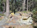 2017-06-01 10-00-30 Rando Fontainebleau DLe